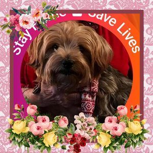 Meet your Posher, Kay